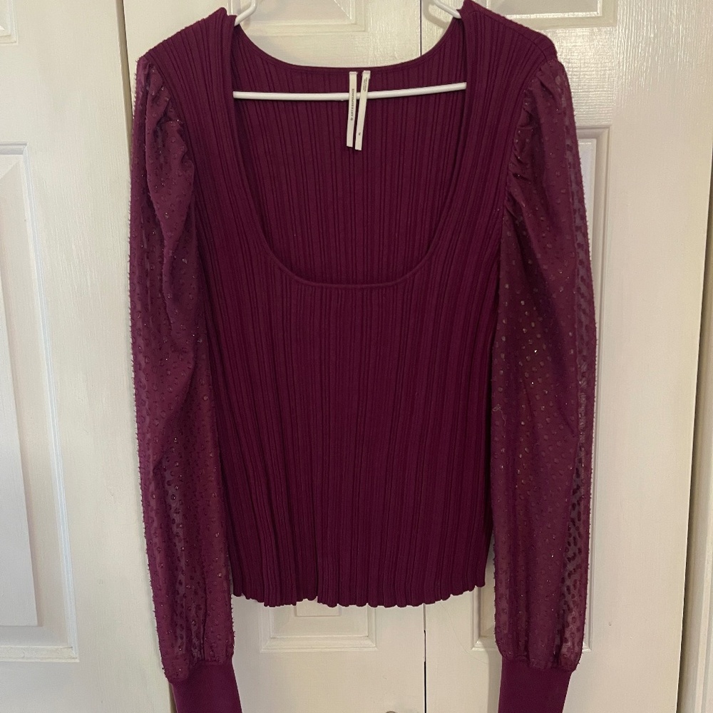 Anthropologie top with sheer sleeves